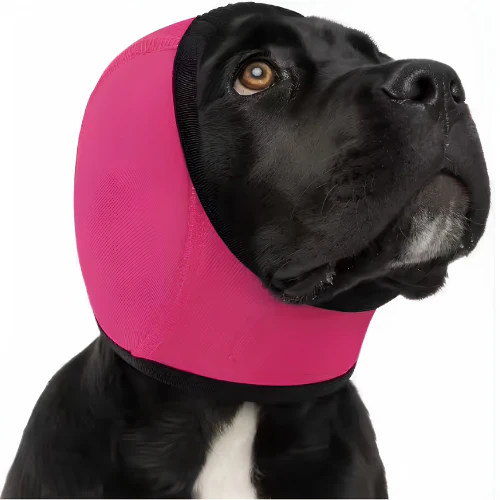 Relivexa™ ZenPup