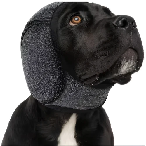 Relivexa™ ZenPup