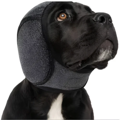 Relivexa™ ZenPup